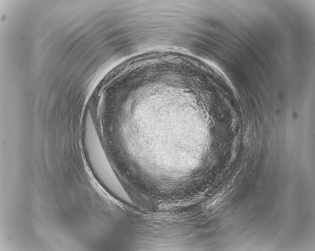 X0000056320903200509092259