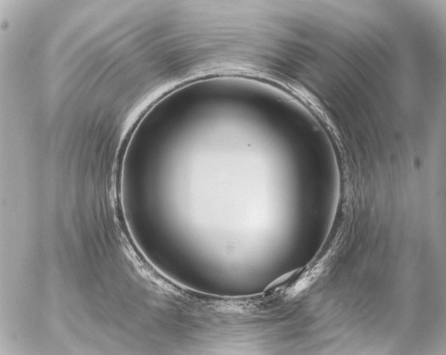 X0000056320904200509092259