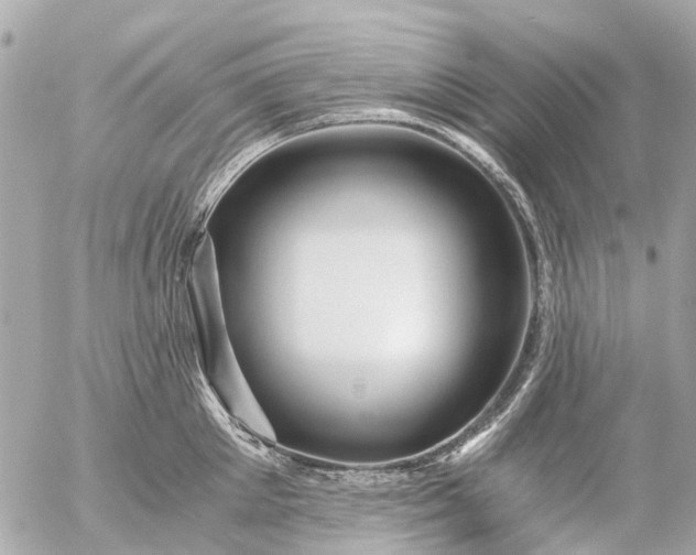 X0000056320905200509092259