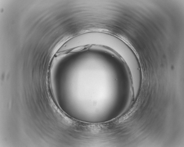 X0000056320906200509092259