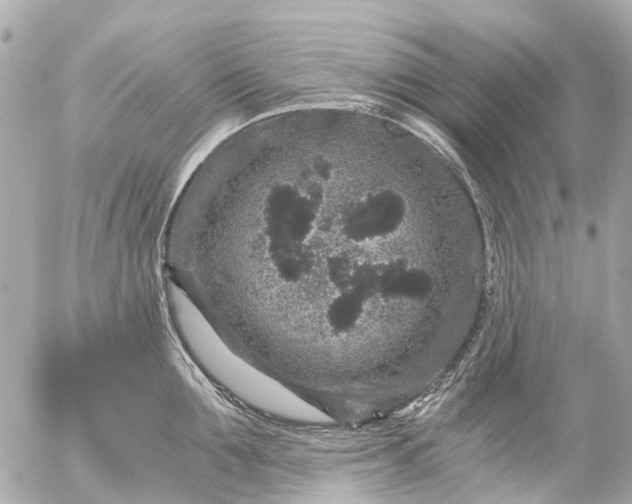 X0000056320907200509092259