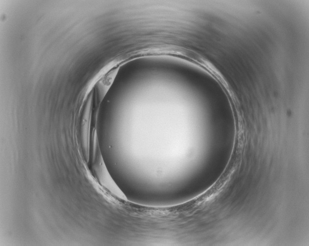 X0000056320909200509092259