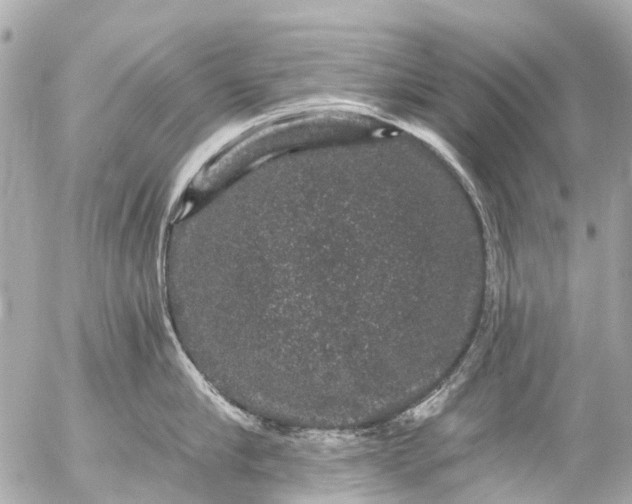 X0000056320910200509092259