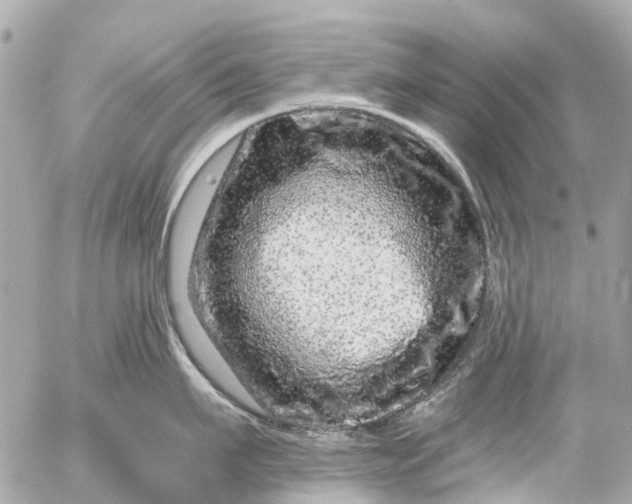 X0000056320911200509092259