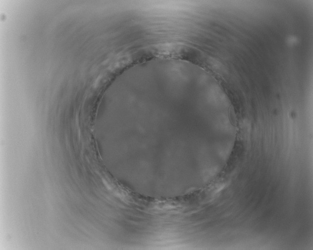 X0000056320913200509092258