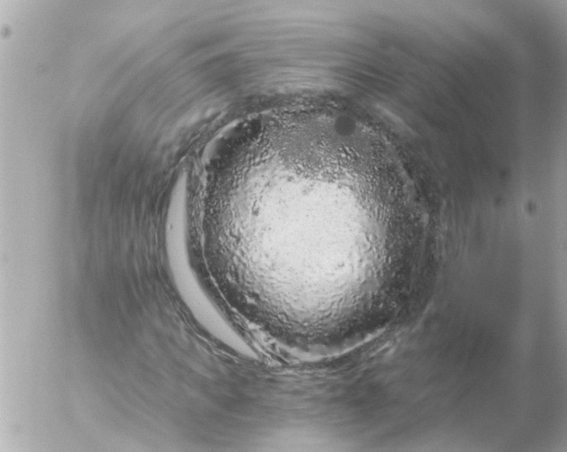 X0000056320917200509092258