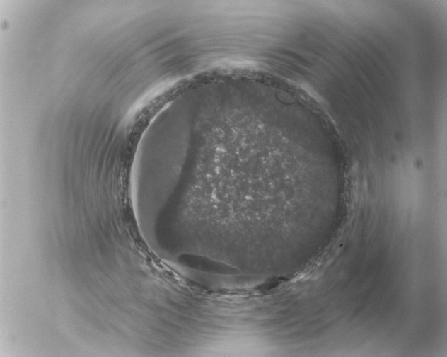 X0000056320919200509092258