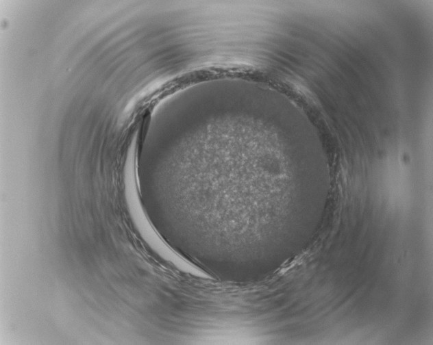 X0000056320920200509092258