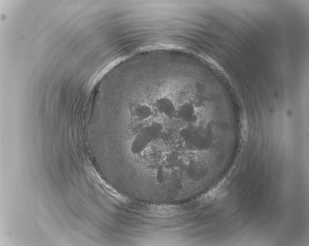 X0000056320921200509092258