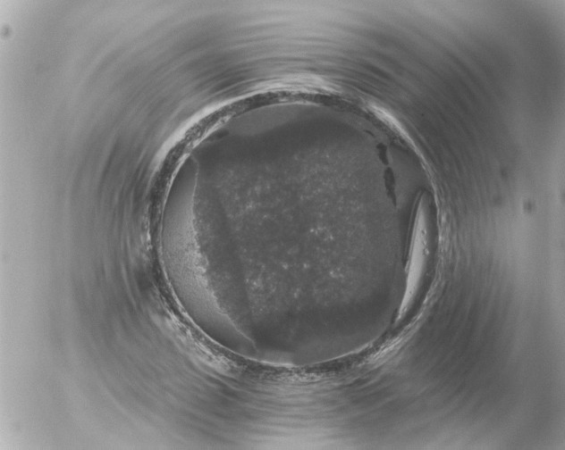 X0000056320923200509092259