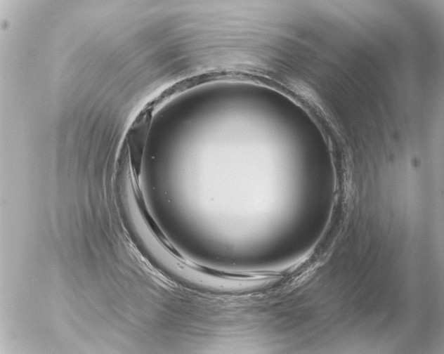 X0000056320924200509092259