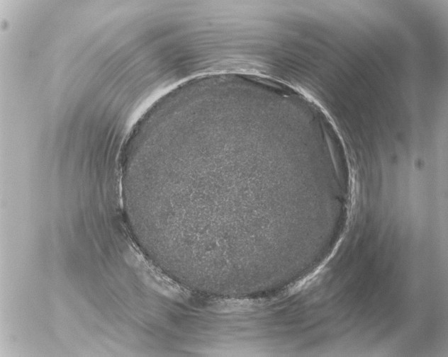 X0000056320925200509092259