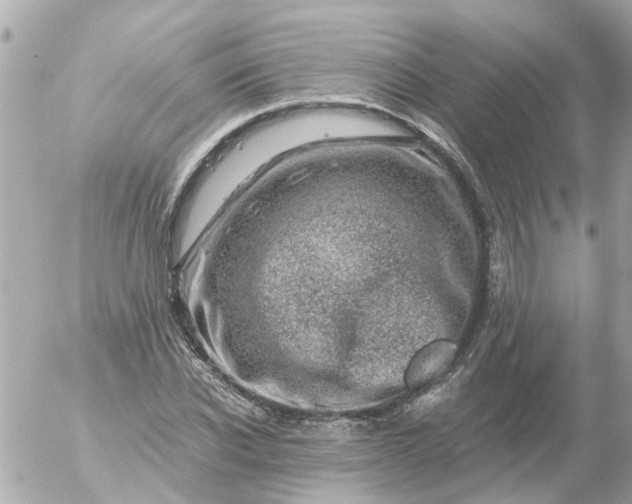 X0000056320926200509092259