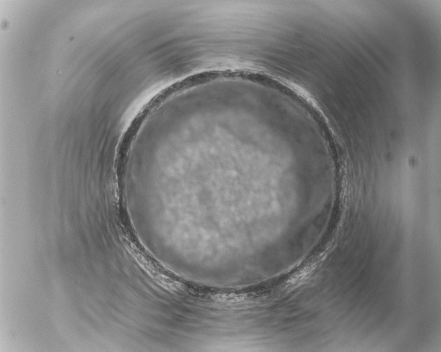 X0000056320927200509092259