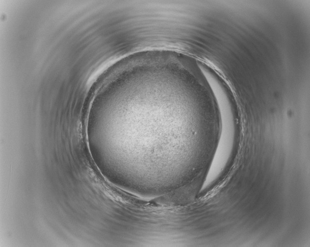 X0000056320928200509092259