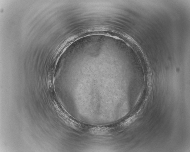 X0000056320929200509092259