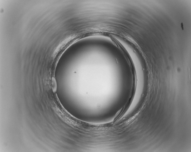 X0000056320930200509092259