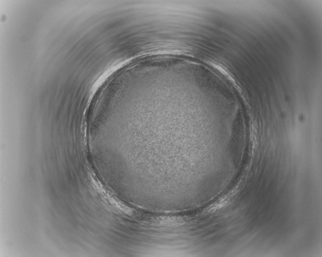 X0000056320933200509092259