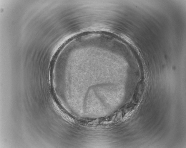 X0000056320934200509092259