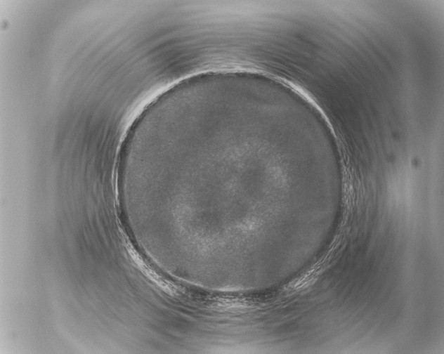 X0000056320935200509092259