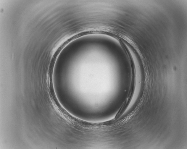 X0000056320936200509092259