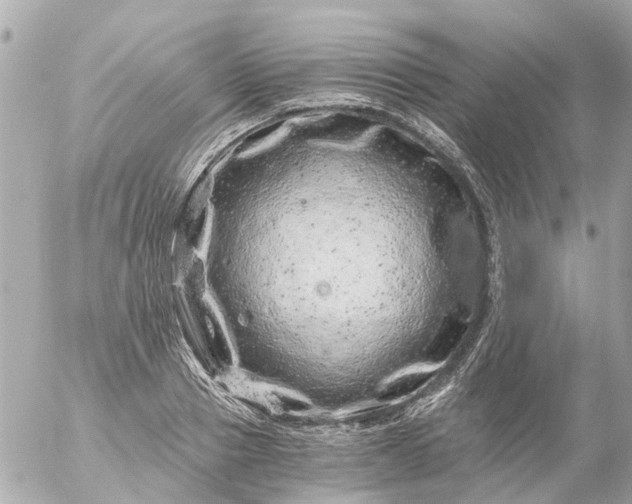 X0000056320937200509092259