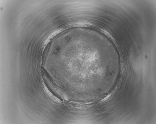 X0000056320938200509092259