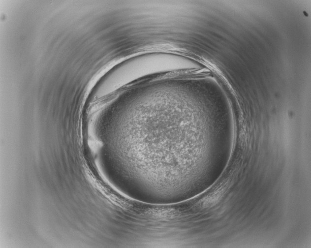 X0000056320939200509092259