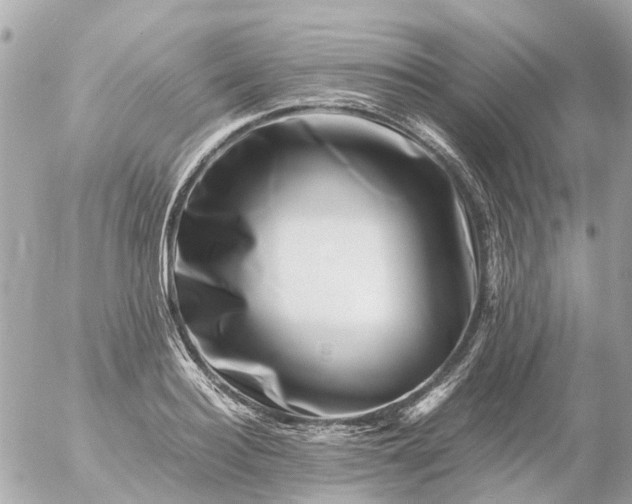 X0000056320940200509092259