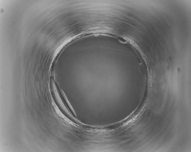 X0000056320941200509092259