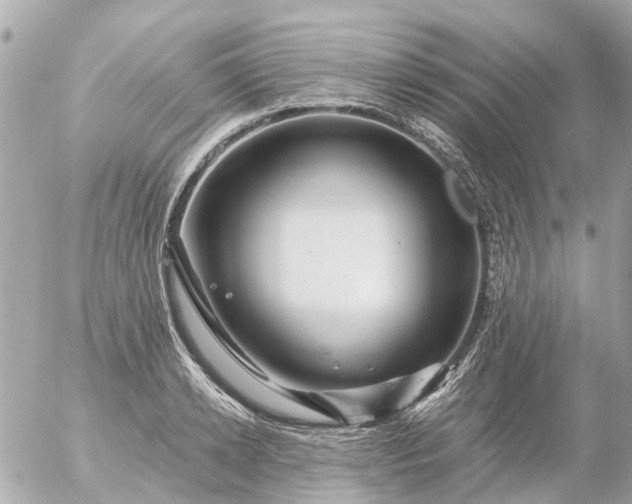 X0000056320942200509092259