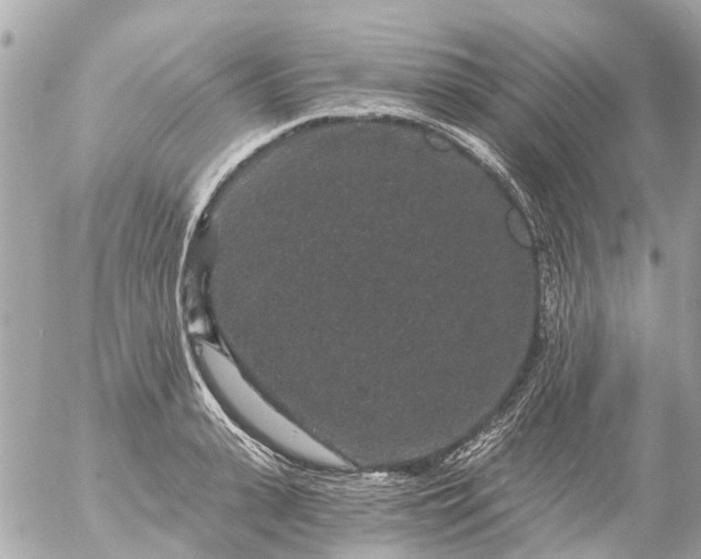 X0000056320943200509092259