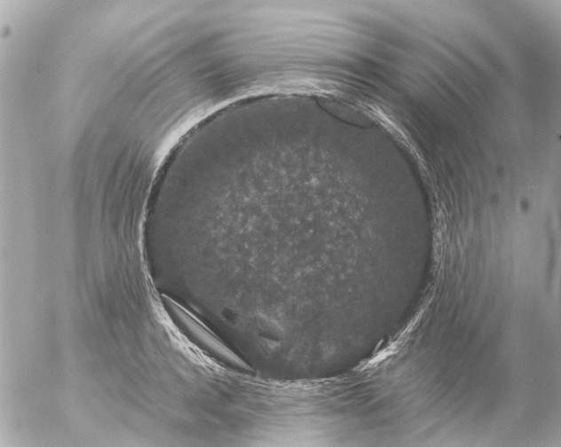 X0000056320944200509092259