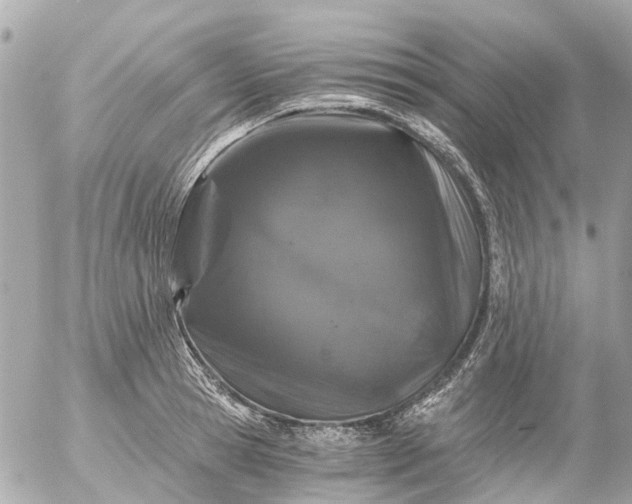 X0000056320945200509092259