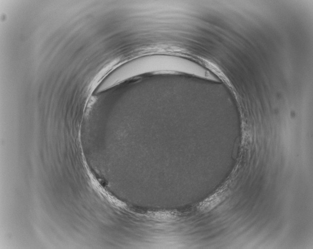 X0000056320946200509092259