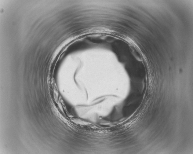 X0000056320947200509092259