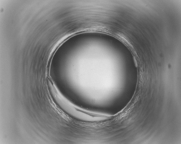 X0000056320948200509092259