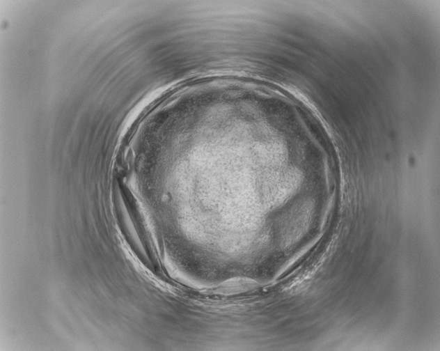 X0000056320949200509092259