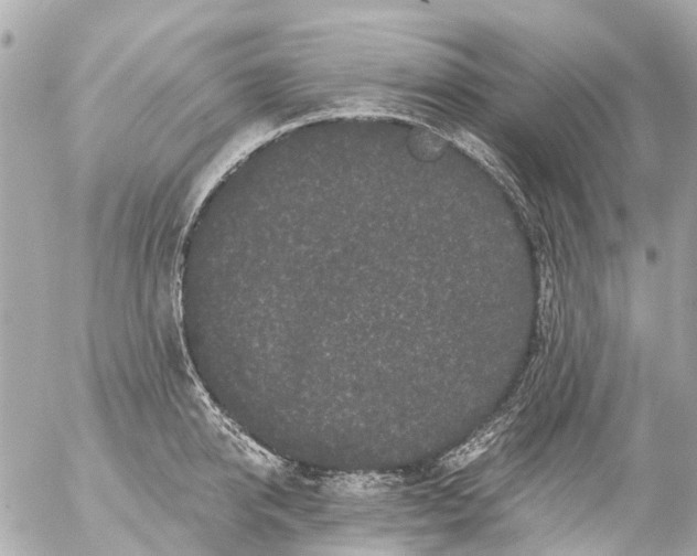 X0000056320950200509092259