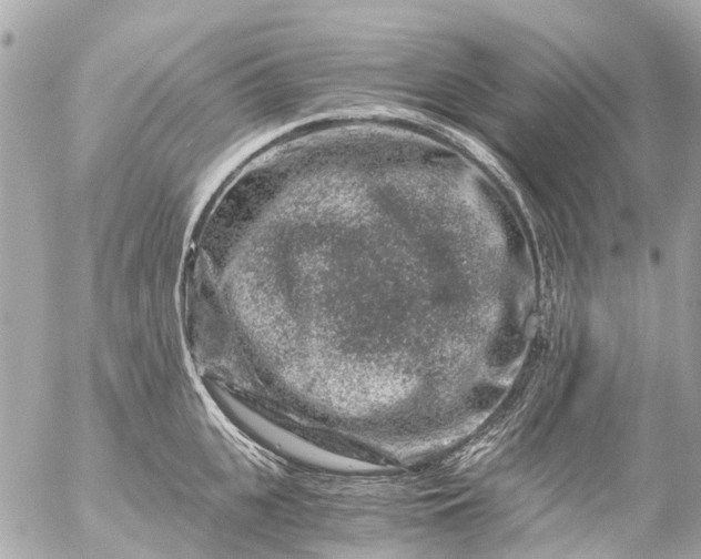 X0000056320951200509092259