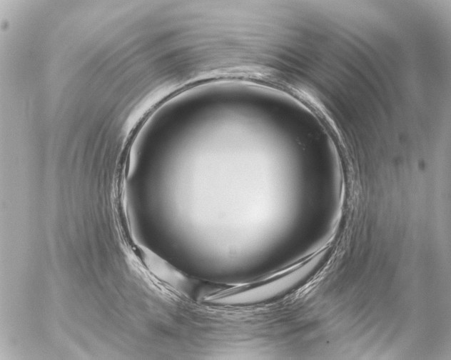 X0000056320952200509092259