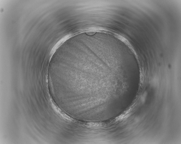 X0000056320954200509092259