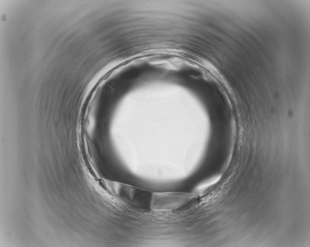 X0000056320955200509092259