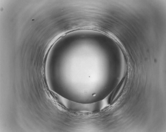 X0000056320956200509092259