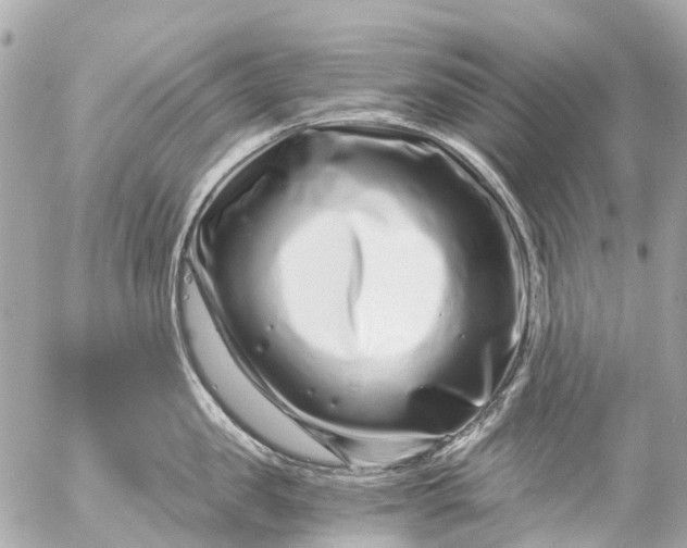 X0000056320957200509092259