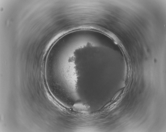 X0000056320958200509092259