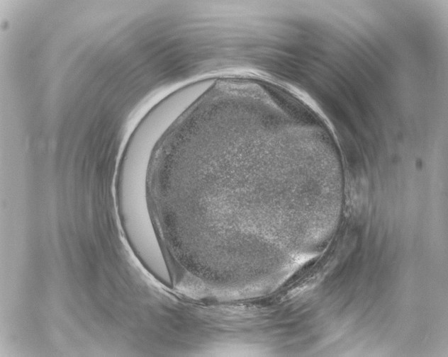 X0000056320959200509092259