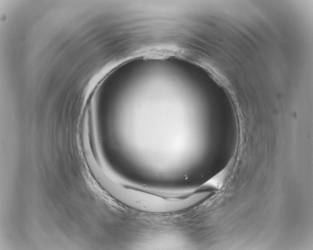 X0000056320960200509092259