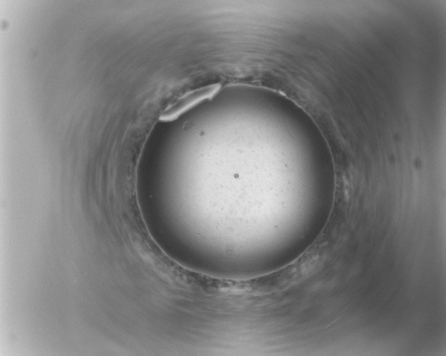 X0000056320961200509092258