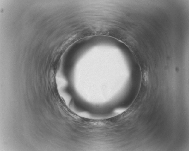 X0000056320963200509092258